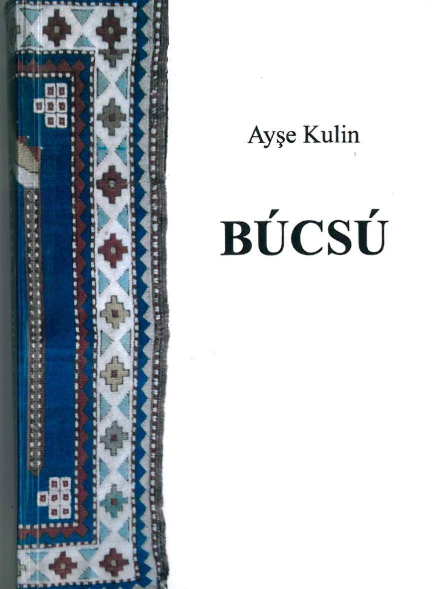 035 Ayse Kulin Bcs borito